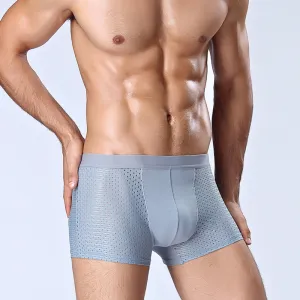 4Pcs Mesh Breathable Ice Silk Underwear Boxer