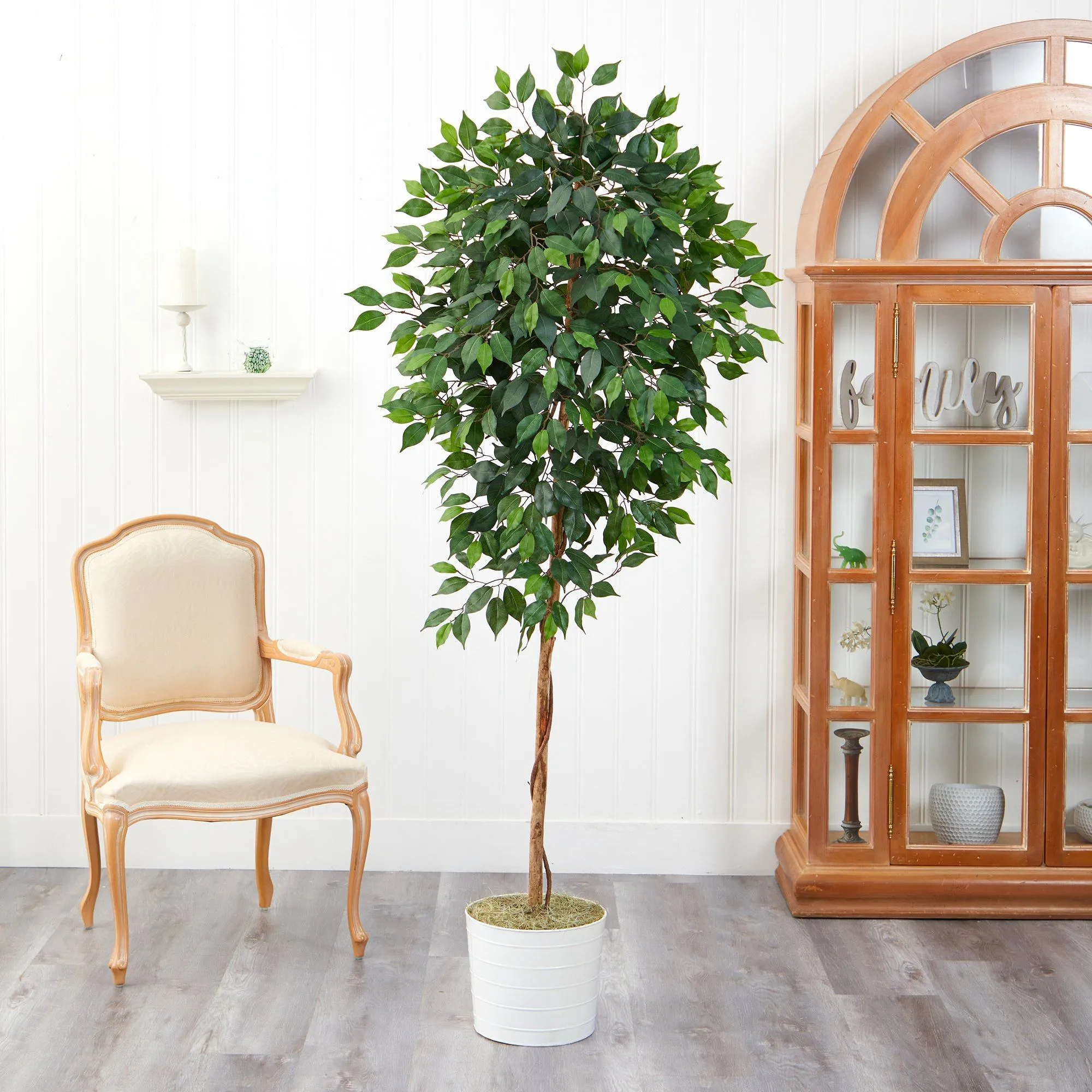 6’ Ficus Artificial Tree in White Tin Planter