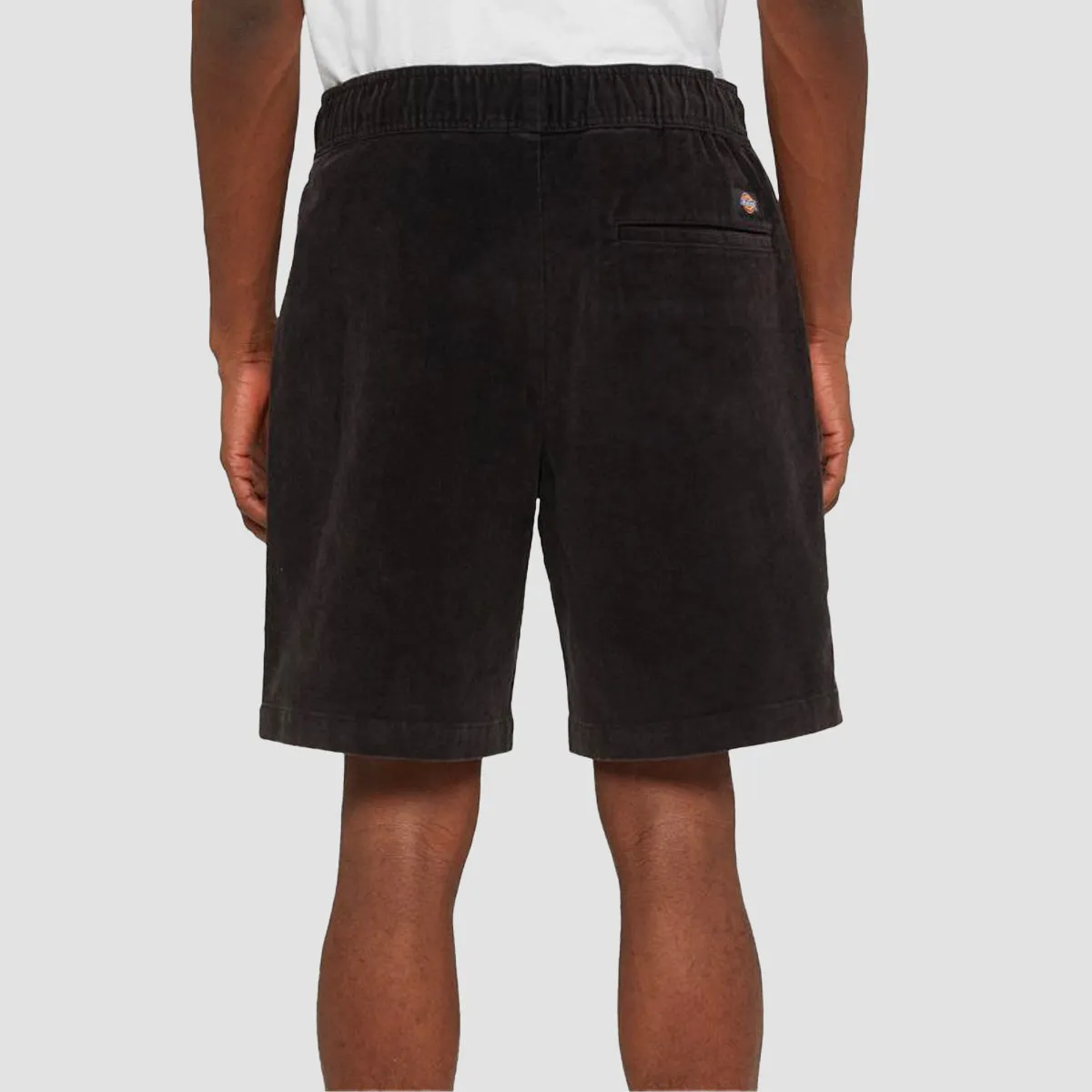 Dickies Chase City Shorts Black